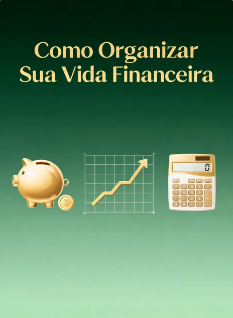 Como Organizar Sua Vida Financeira